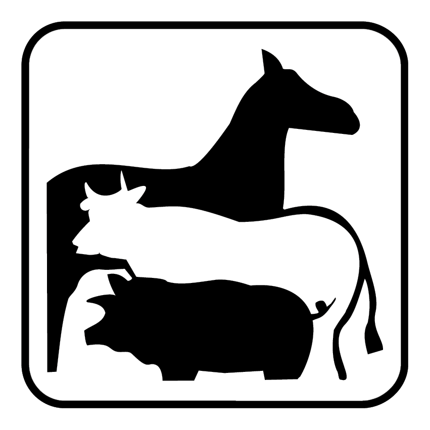 CAMPO BOARIO