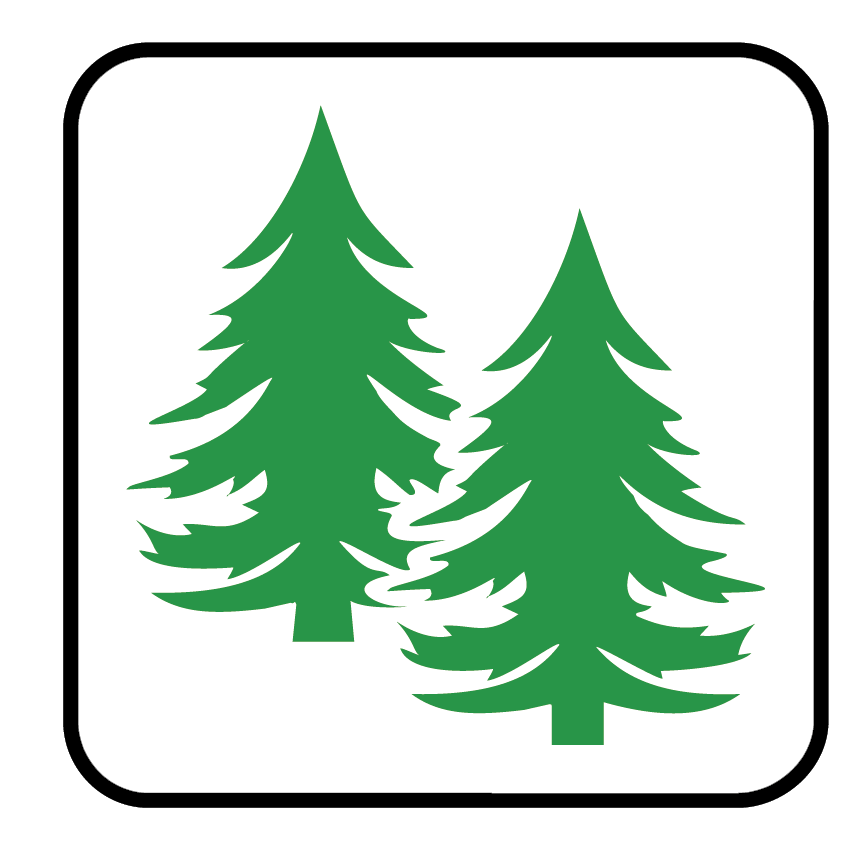 FORESTA