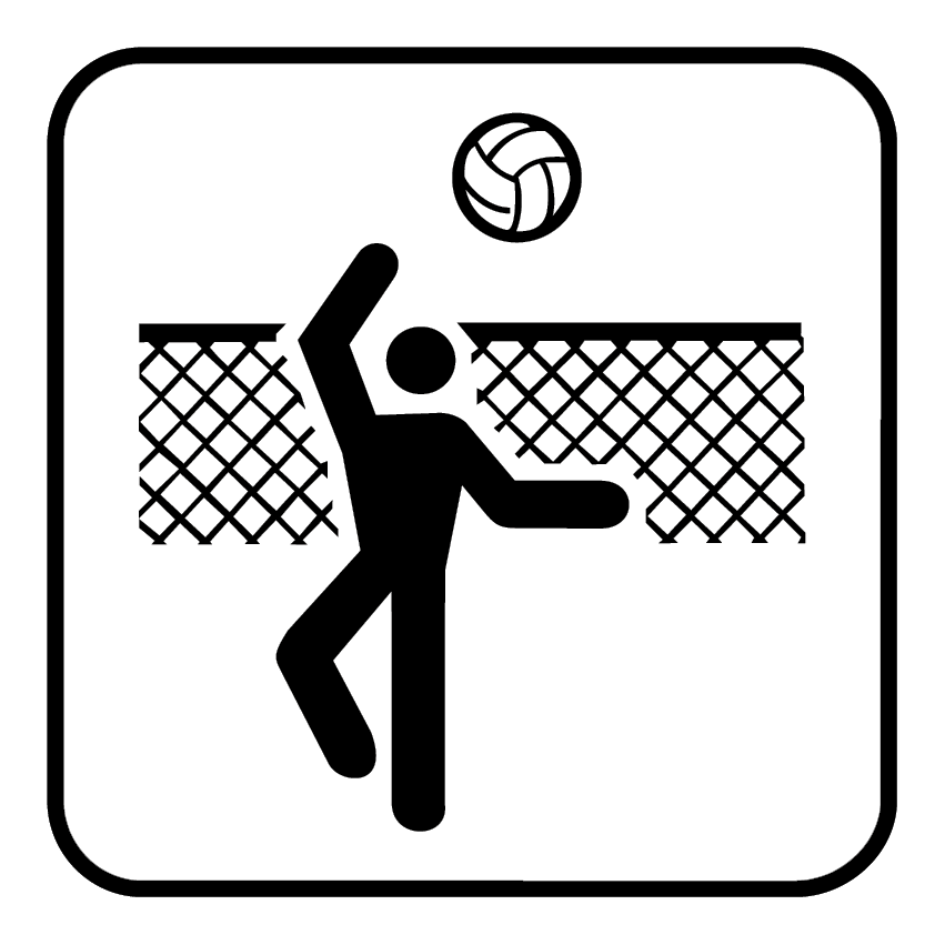 PALLAVOLO