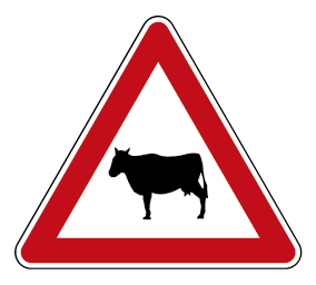 ANIMALI DOMESTICI VAGANTI